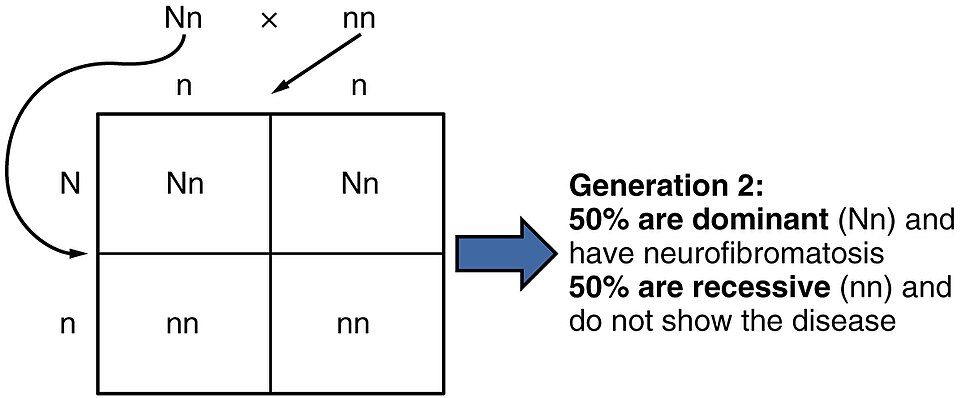 Inheritance reference figure
