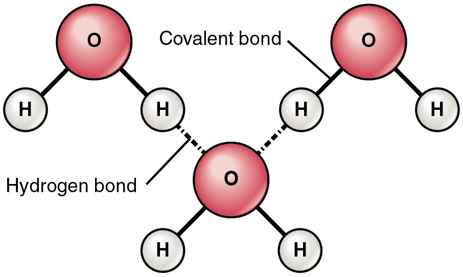 Water as a polar solvent reference figure