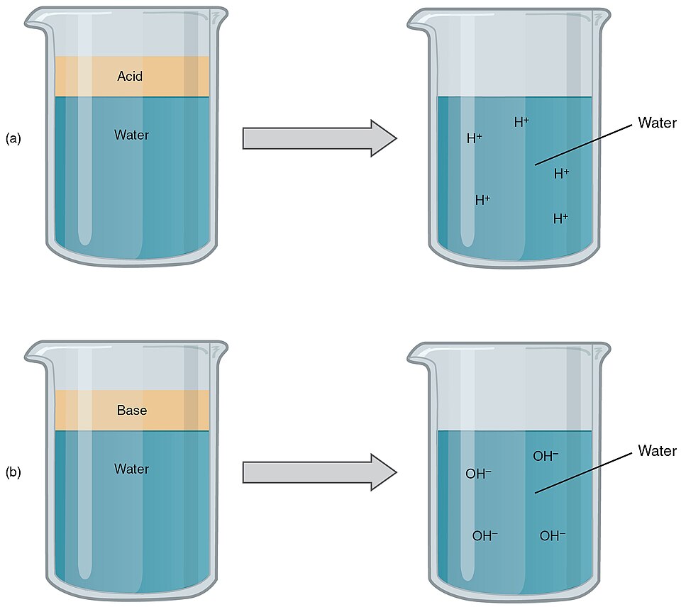 Acid-base control mechanisms reference figure