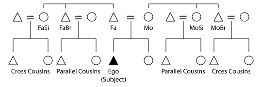 A genealogical kinship chart using triangles, circles, and connecting lines