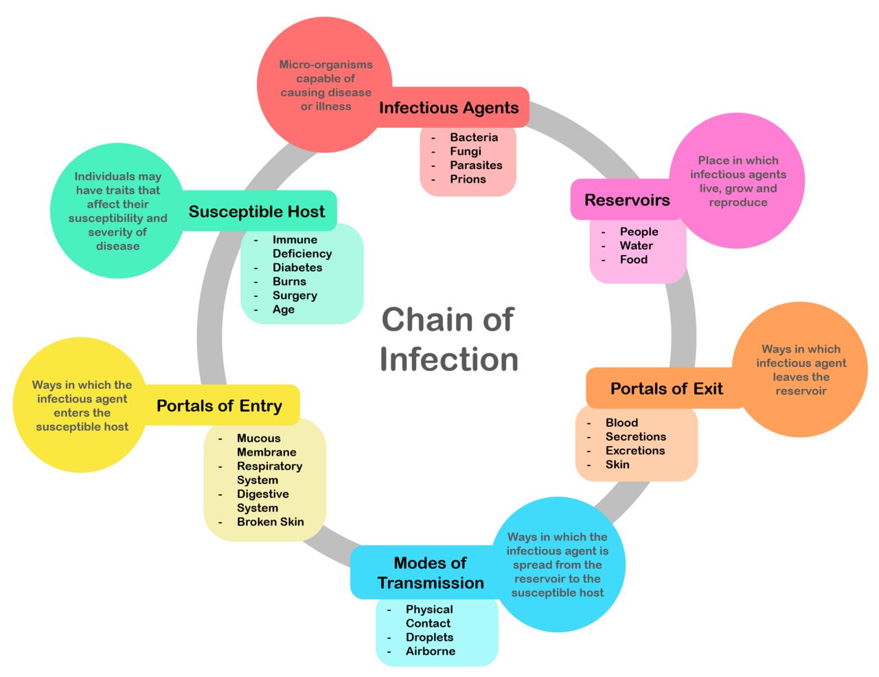 The chain of infection: six links, each of which a nurse can break.