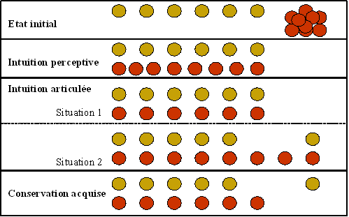 Piaget's number conservation task with two rows of objects