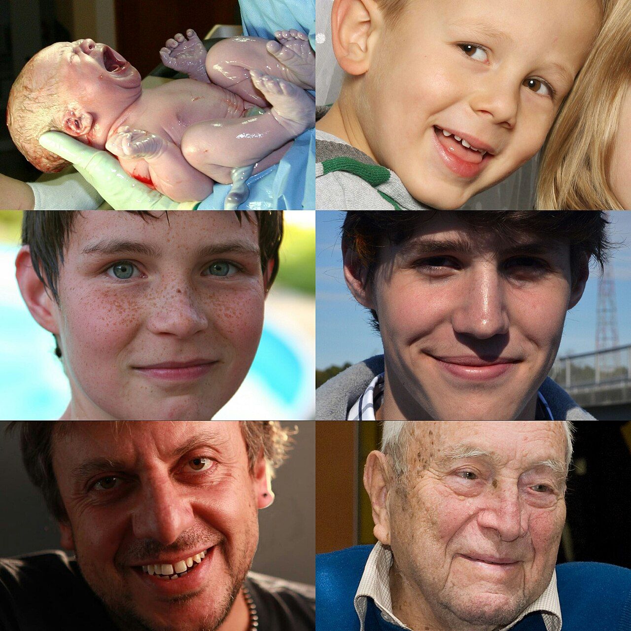 A collage of human development stages across the lifespan