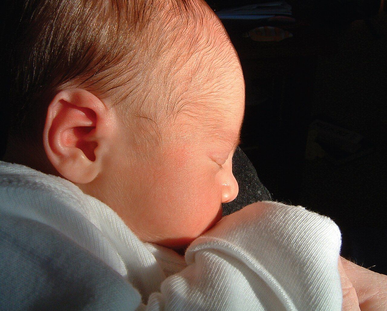 A newborn infant shortly after birth