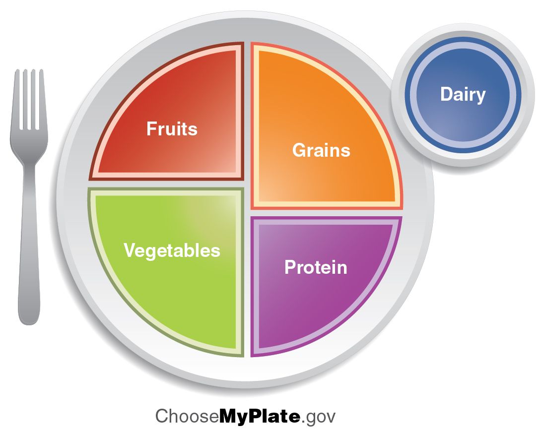 The MyPlate nutrition guide showing fruits, vegetables, grains, protein, and dairy