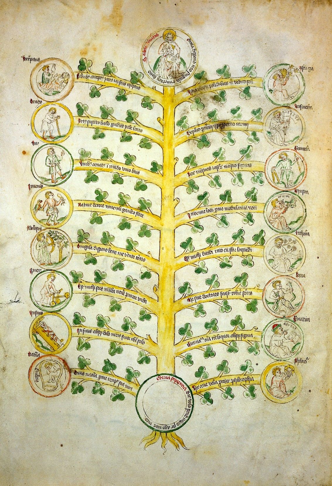 An allegorical Tree of Wisdom illustration