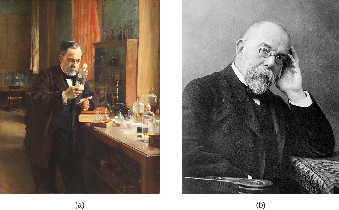 Louis Pasteur and Robert Koch, founders of the germ theory of disease