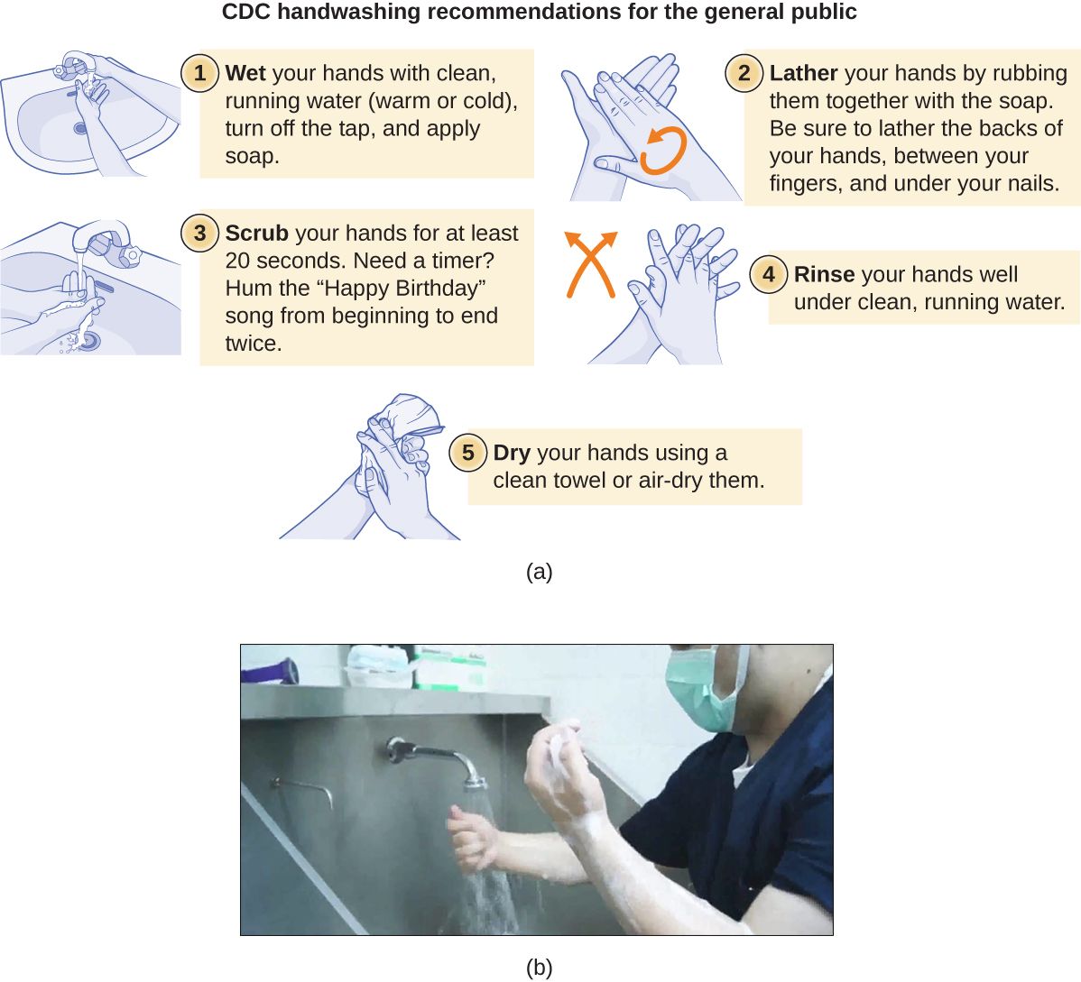 Hand hygiene with antiseptic, the foundation of medical asepsis