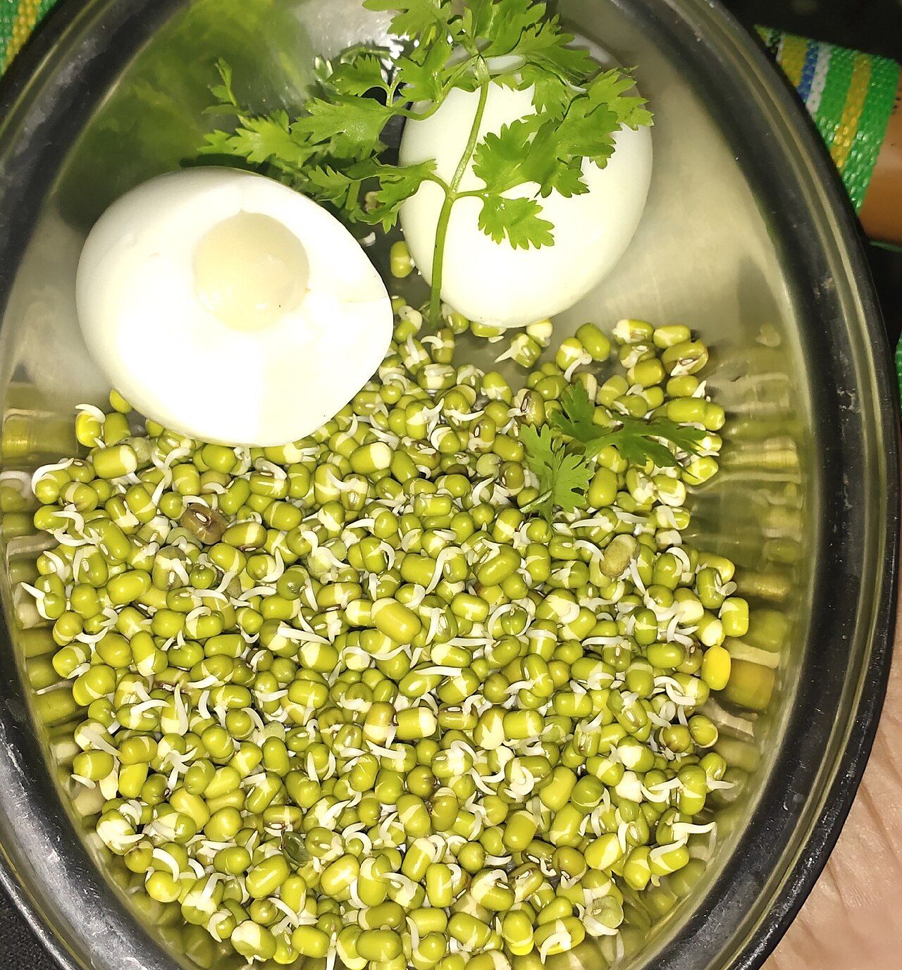 An assortment of protein-rich foods including eggs, fish, legumes, and nuts