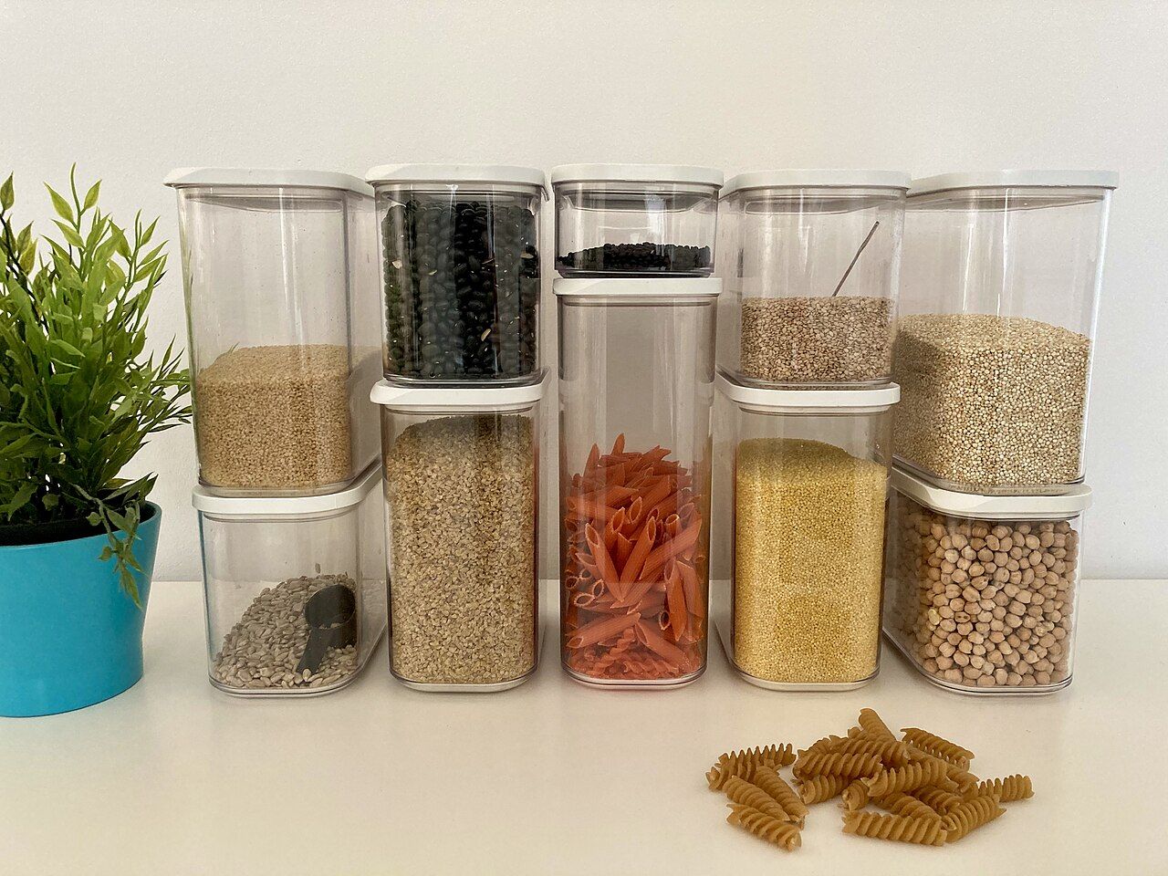 Plant foods that supply nonheme iron, including legumes, seeds, and dark leafy greens