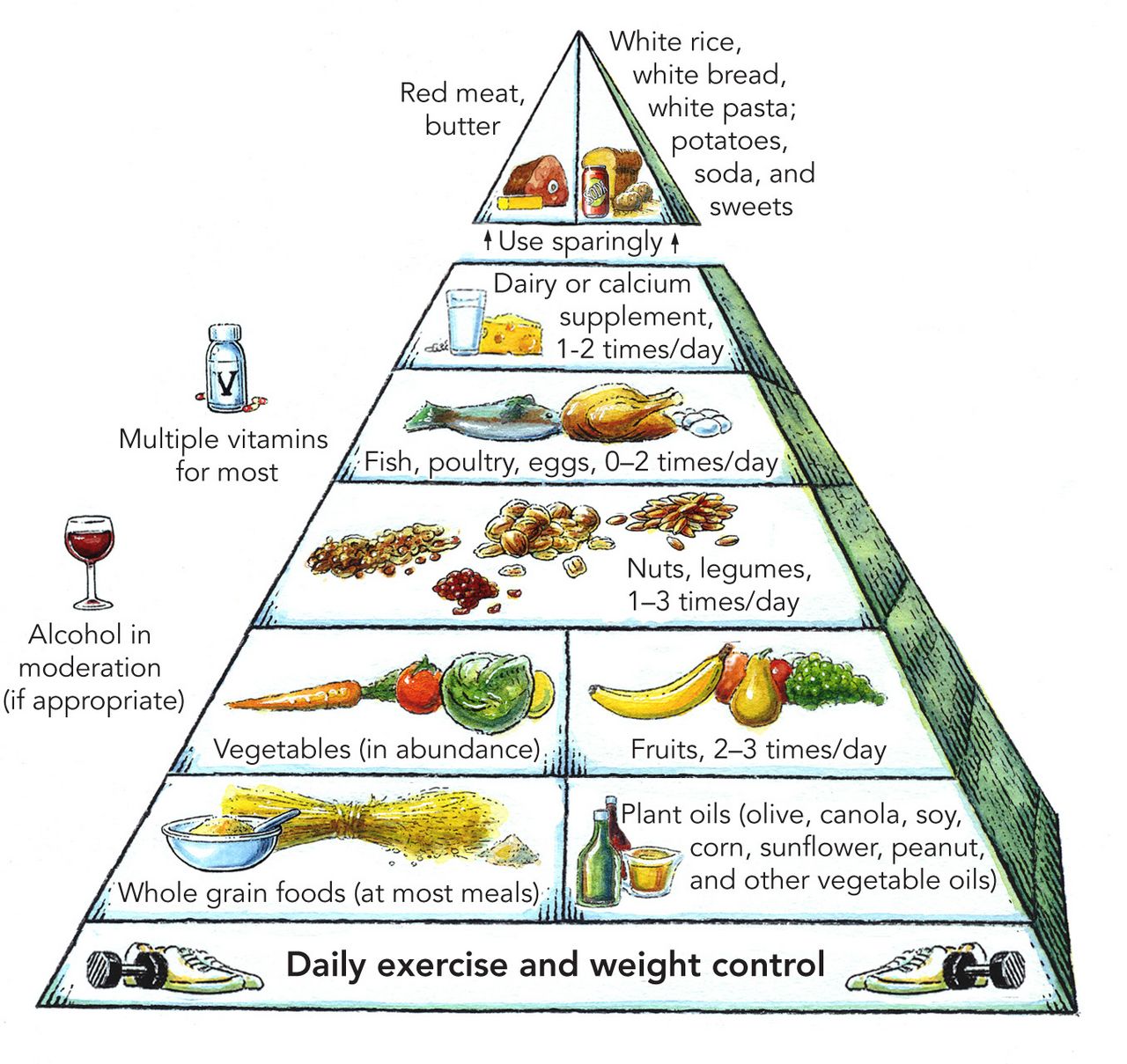 A dietary pattern pyramid showing vegetables, whole grains, and healthy oils at the base