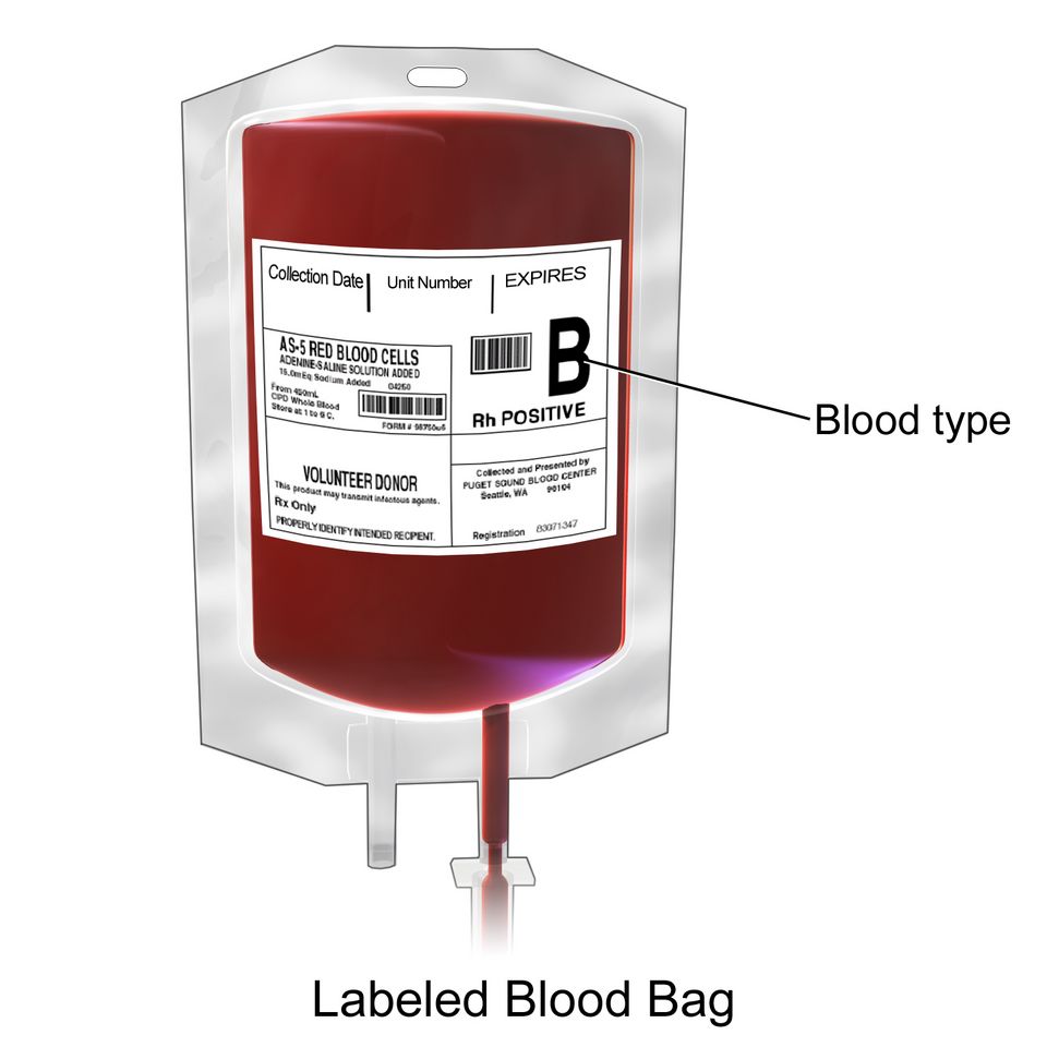 Blood types reference figure