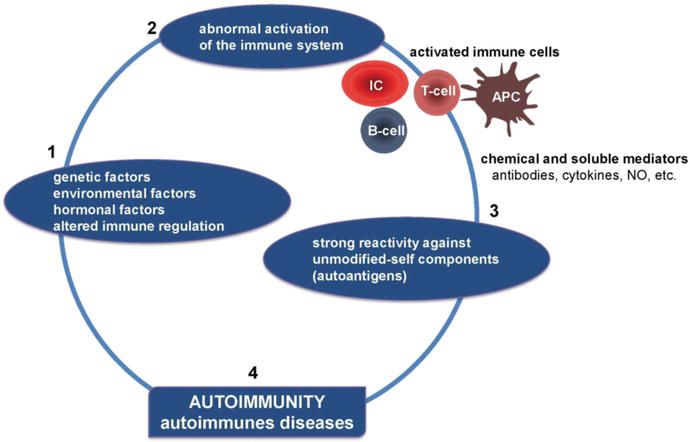 Reference figure on autoimmunity