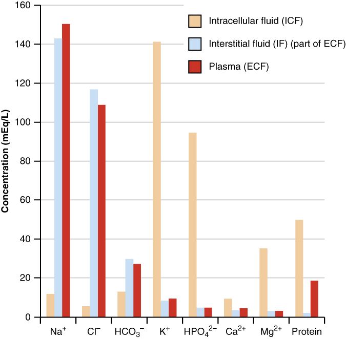 Concentration of electrolytes in body fluids reference figure