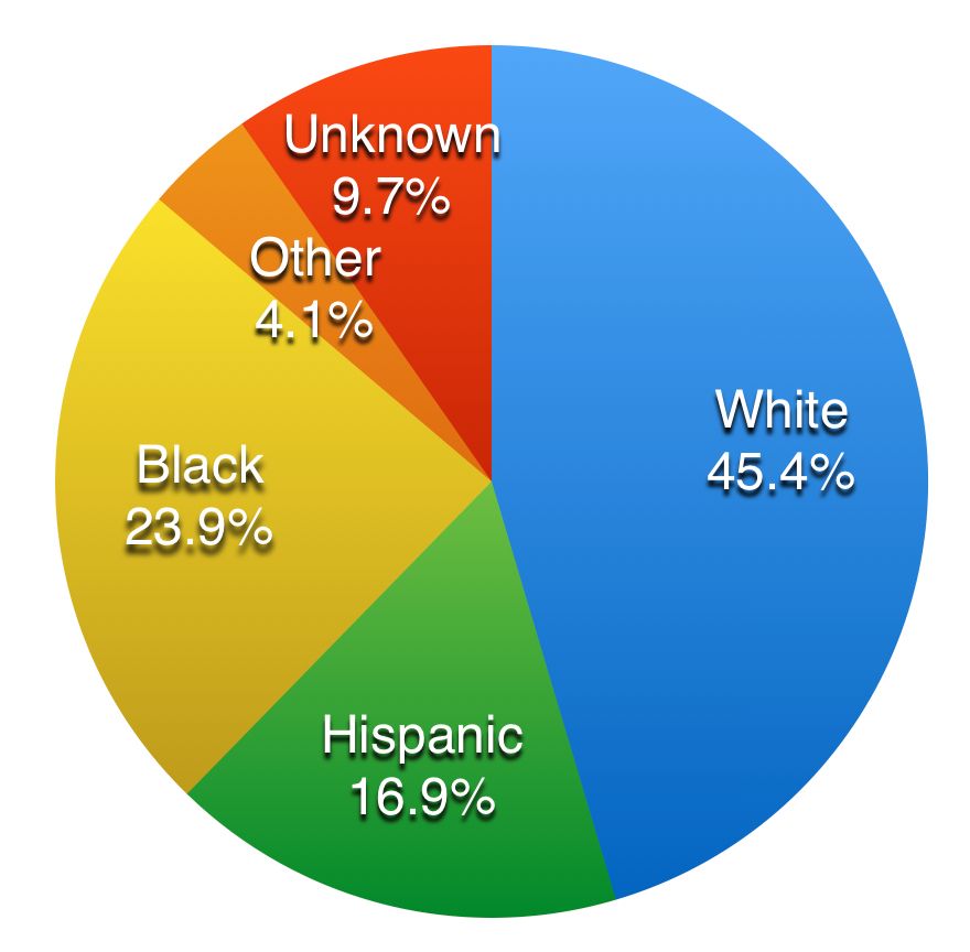 Pie chart of the racial composition of people killed by police in the United States