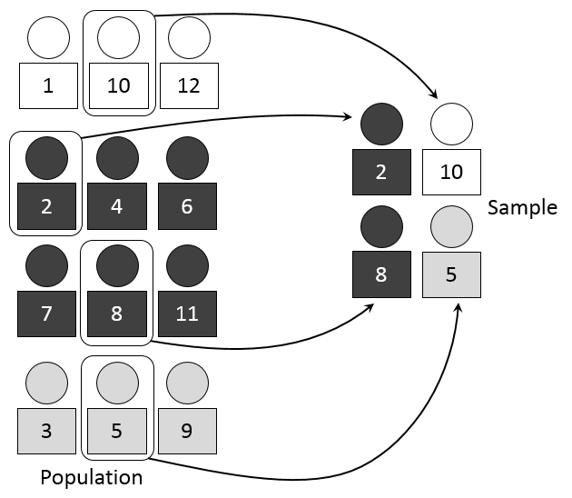 Diagram of stratified sampling: a population split into strata with units drawn from each stratum